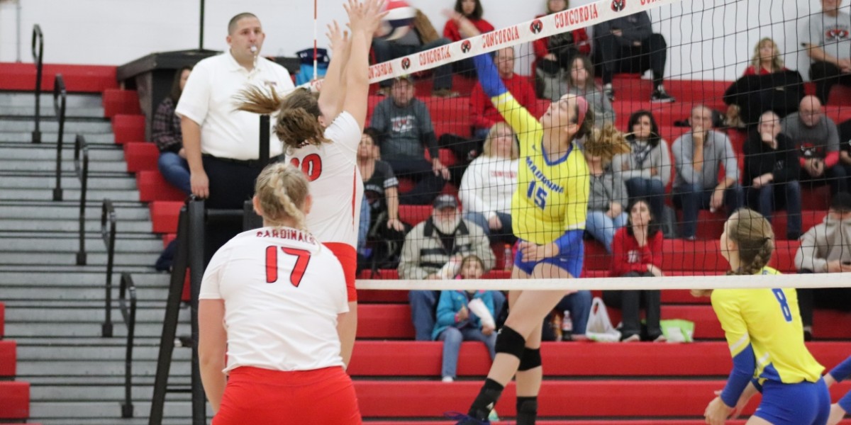 Cardinals fall to Madonna in straight sets