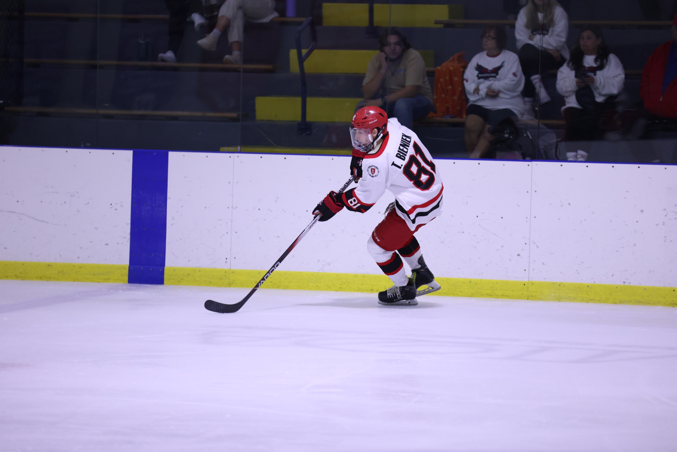 Men's Hockey sweeps Rochester with 4-1 win on Saturday