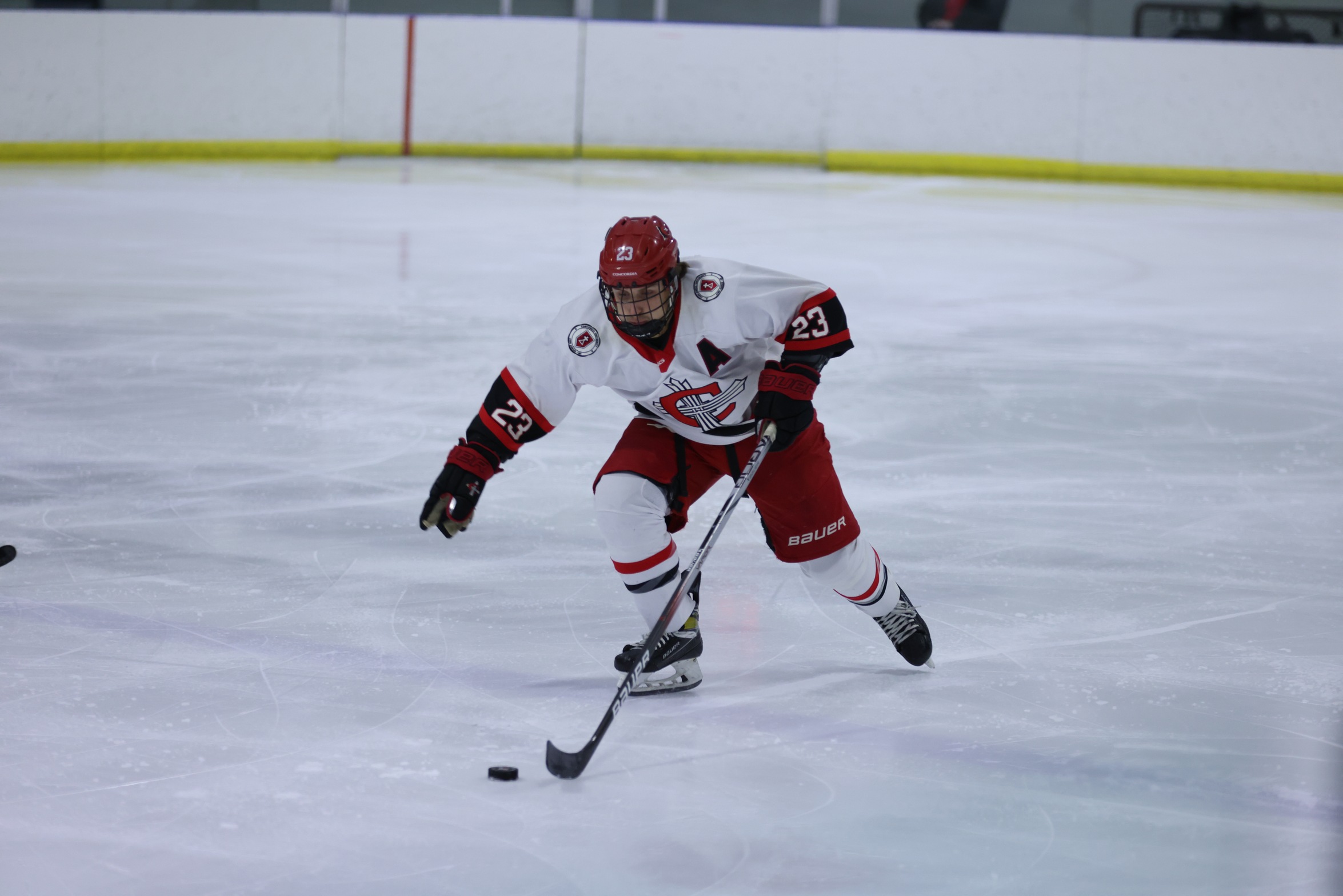 Men's Hockey falls to Cleary