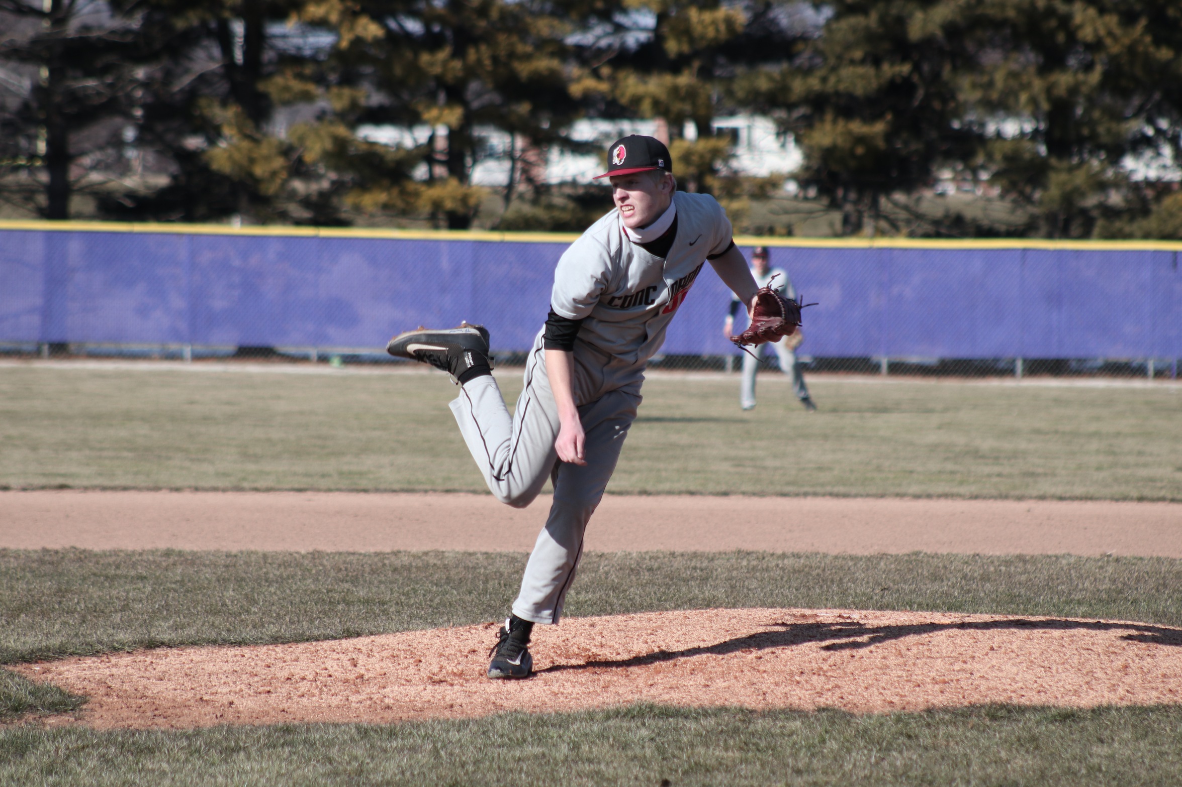 Baseball completes three game sweep over Brescia