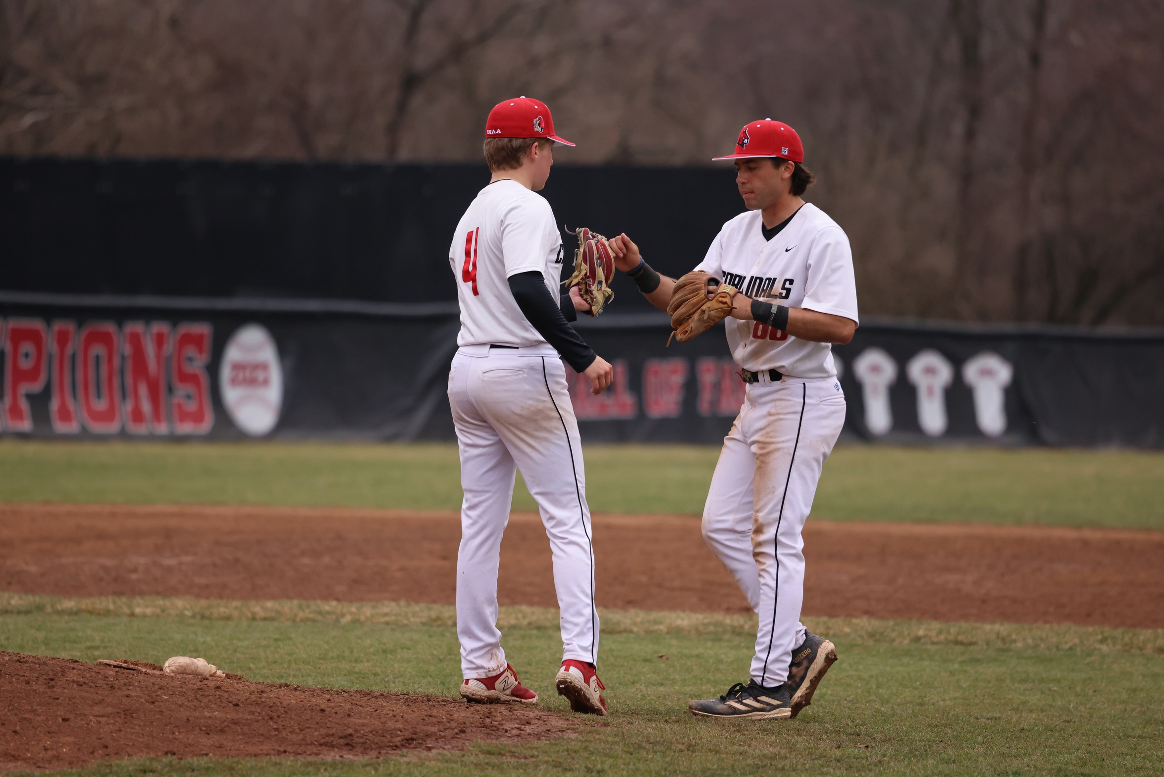 Baseball splits with Rochester Christian