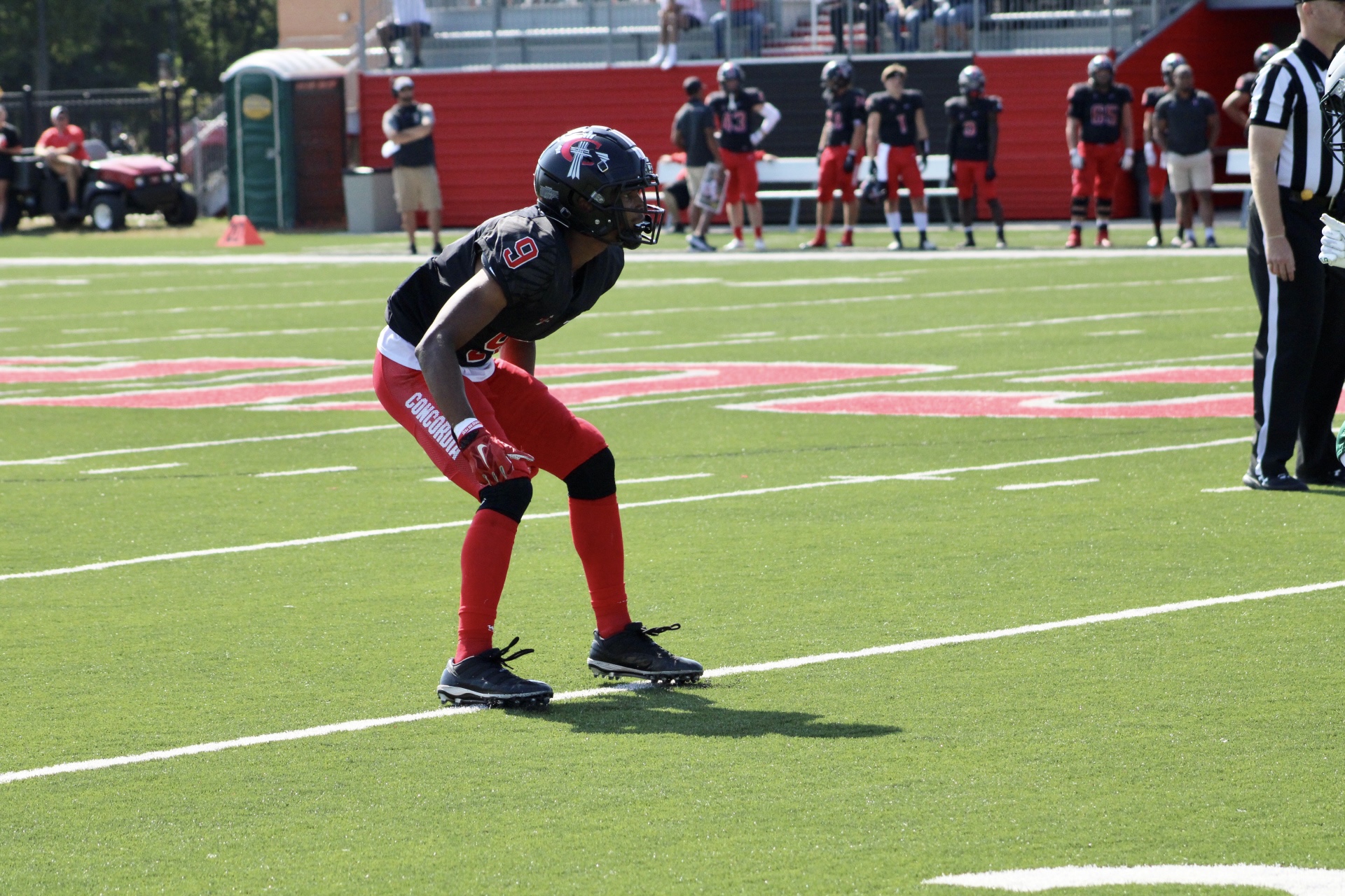 Football downs rival Siena Heights 20-10 on homecoming
