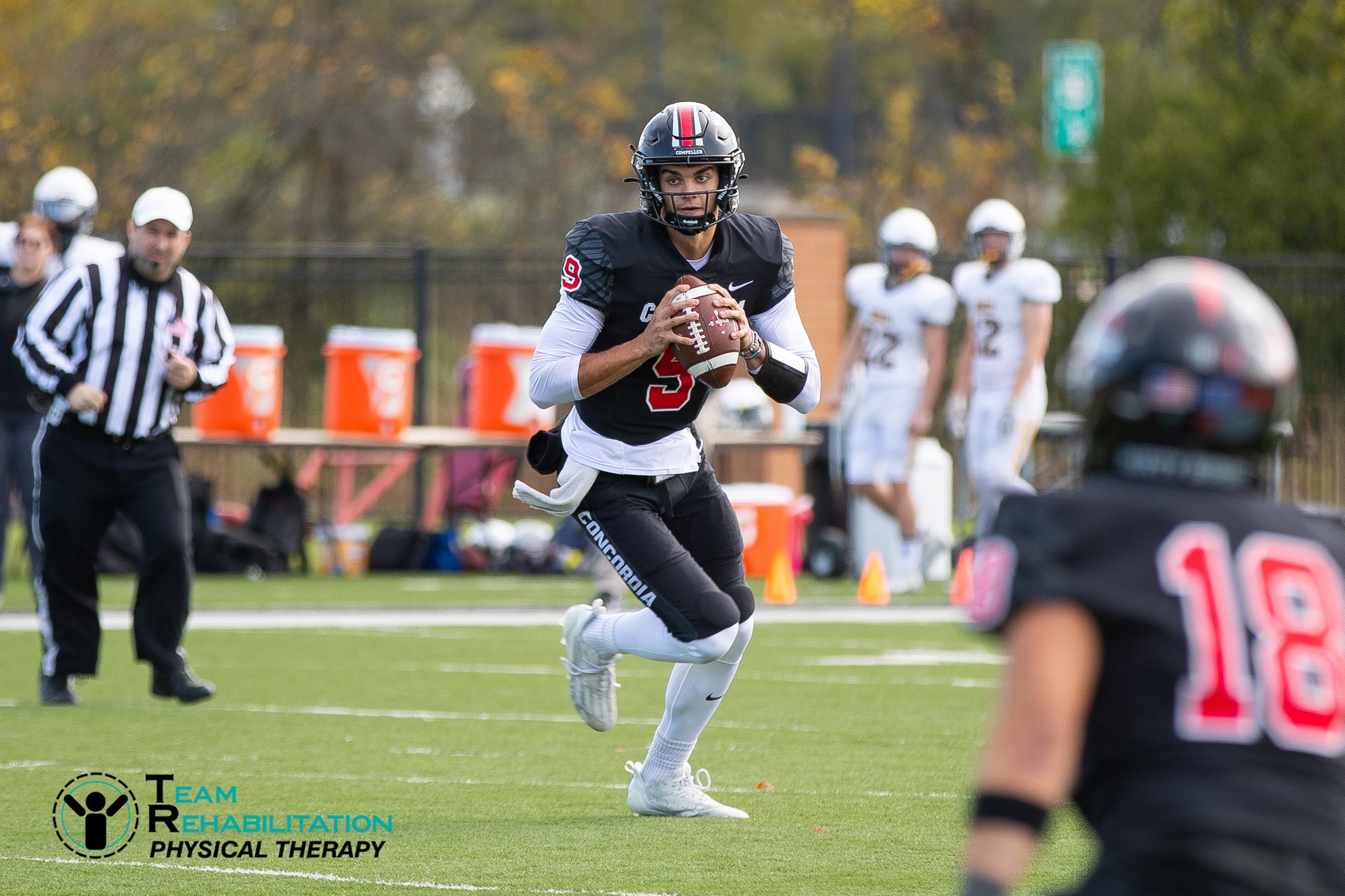 Football falls at Saint Francis (IN)