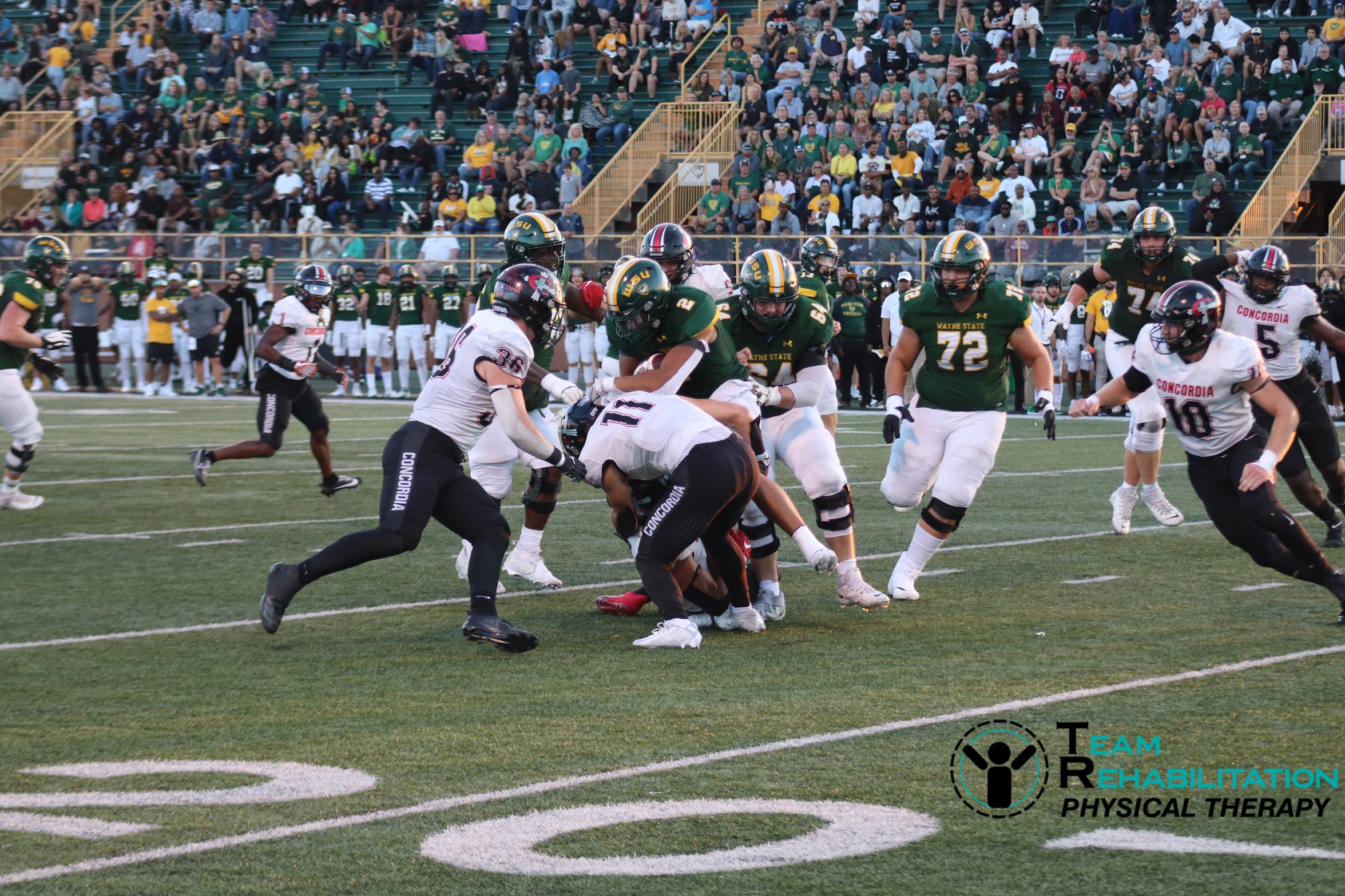 Football downs NCAA D2 Wayne State with last-minute touchdown