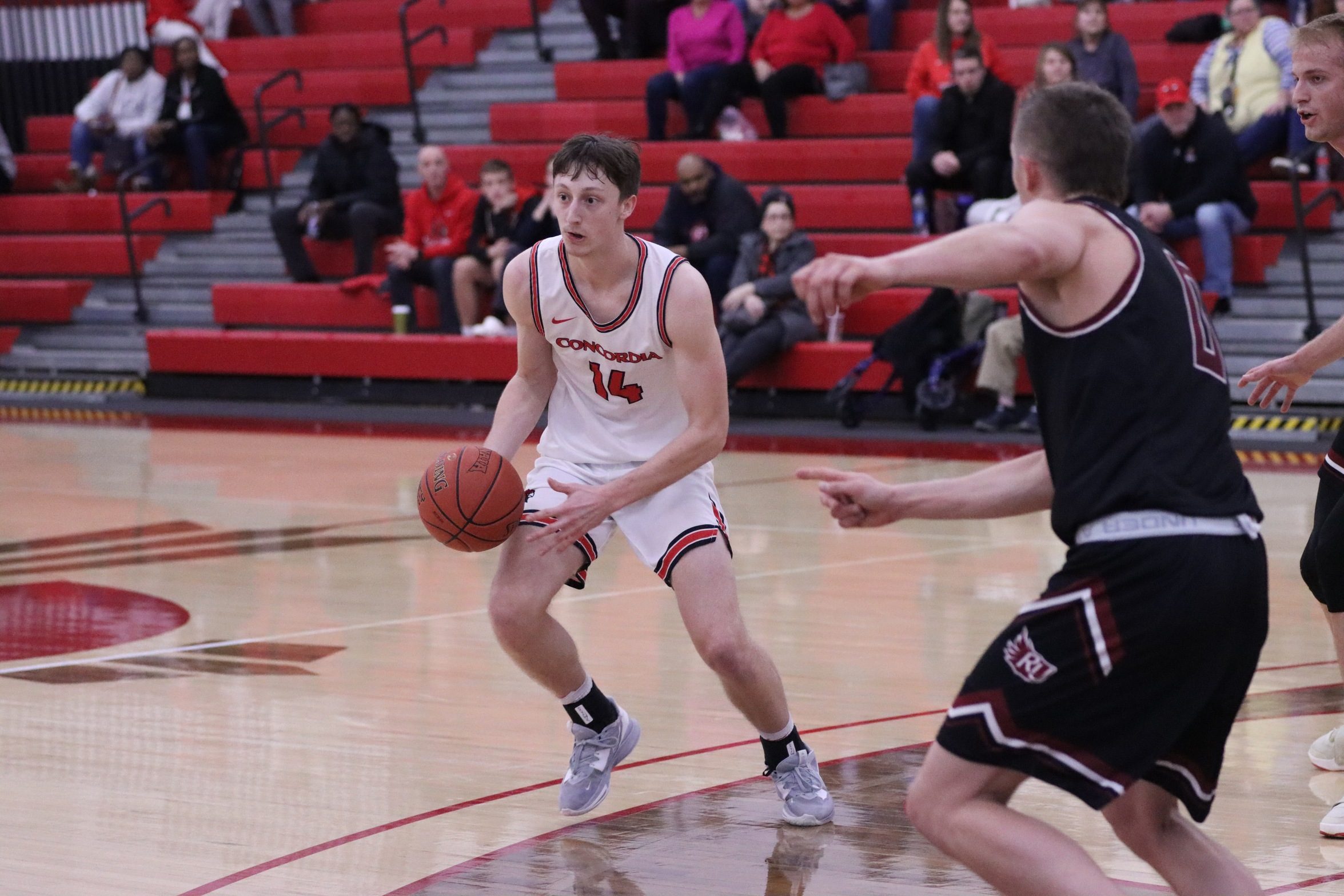 Men's Basketball falls to Lourdes