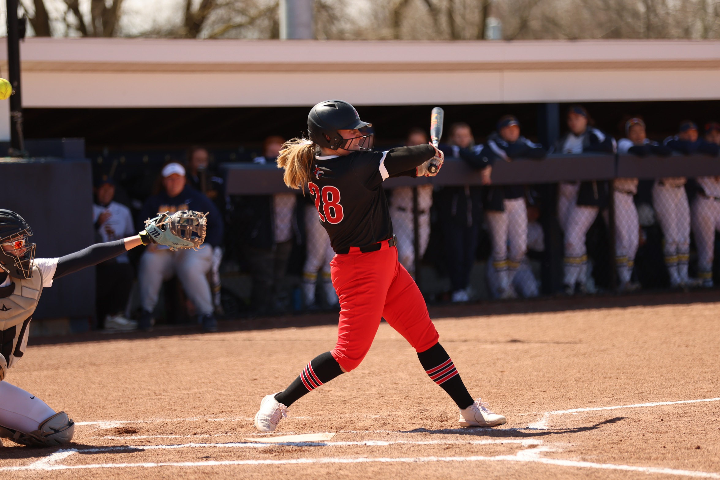 Softball splits series with Lawrence Tech