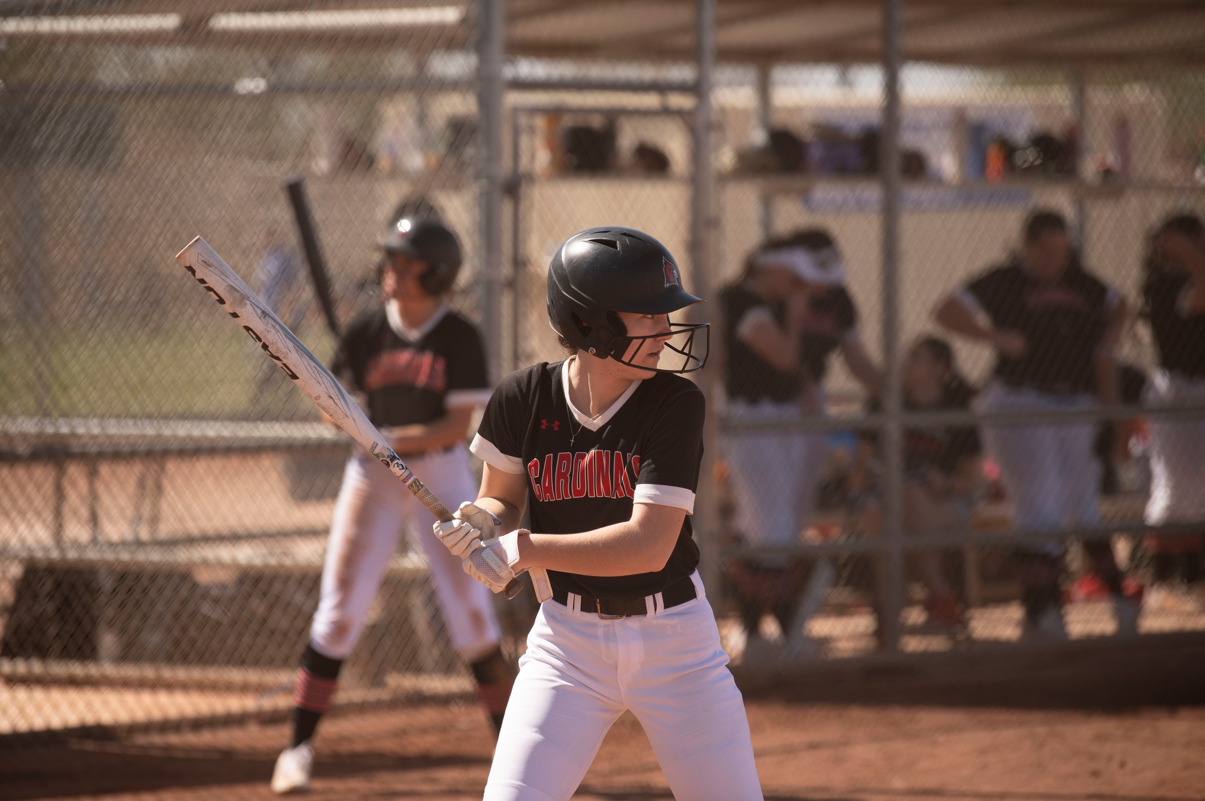 Softball falls to Jamestown and #11 Northwestern on Tuesday