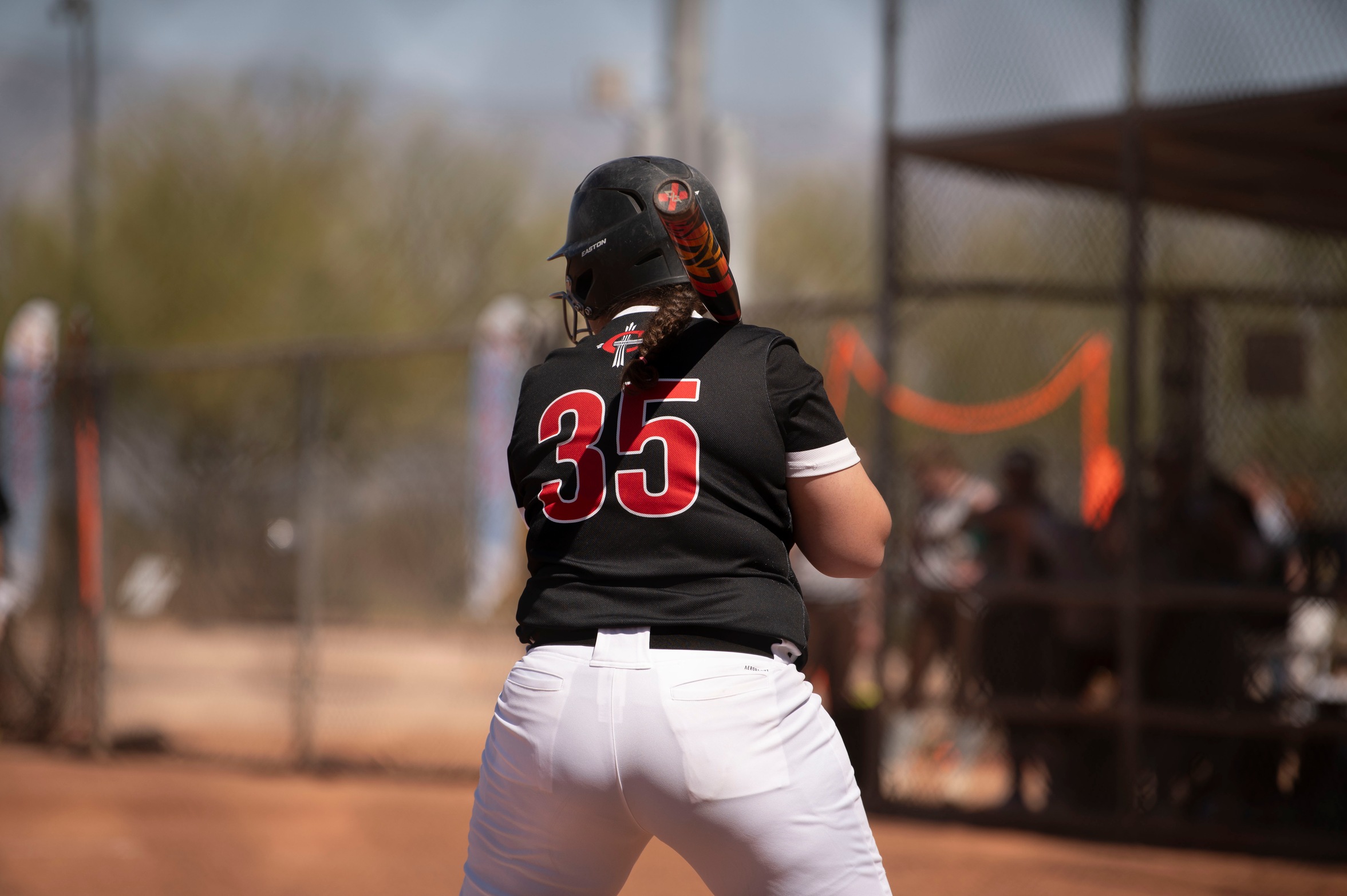 Softball goes 1-2 in Saturday's games at the TIG
