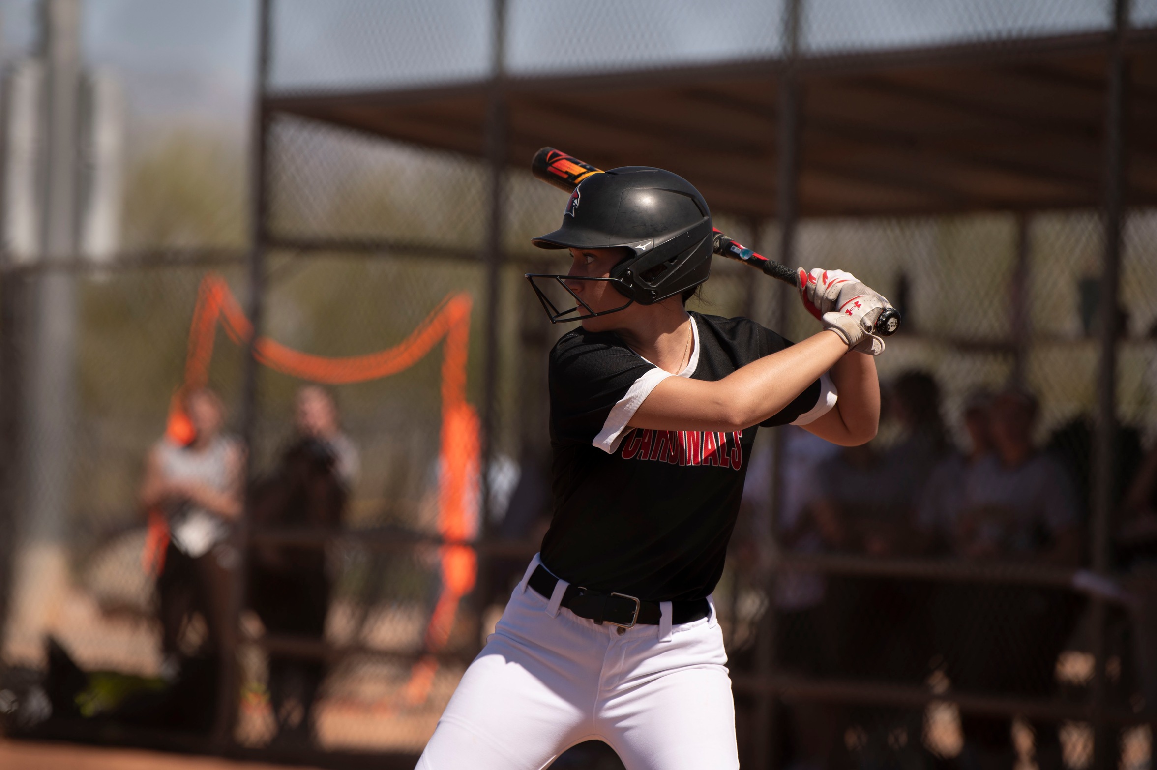 Softball drops two on Second Day of Tucson Invitational Games
