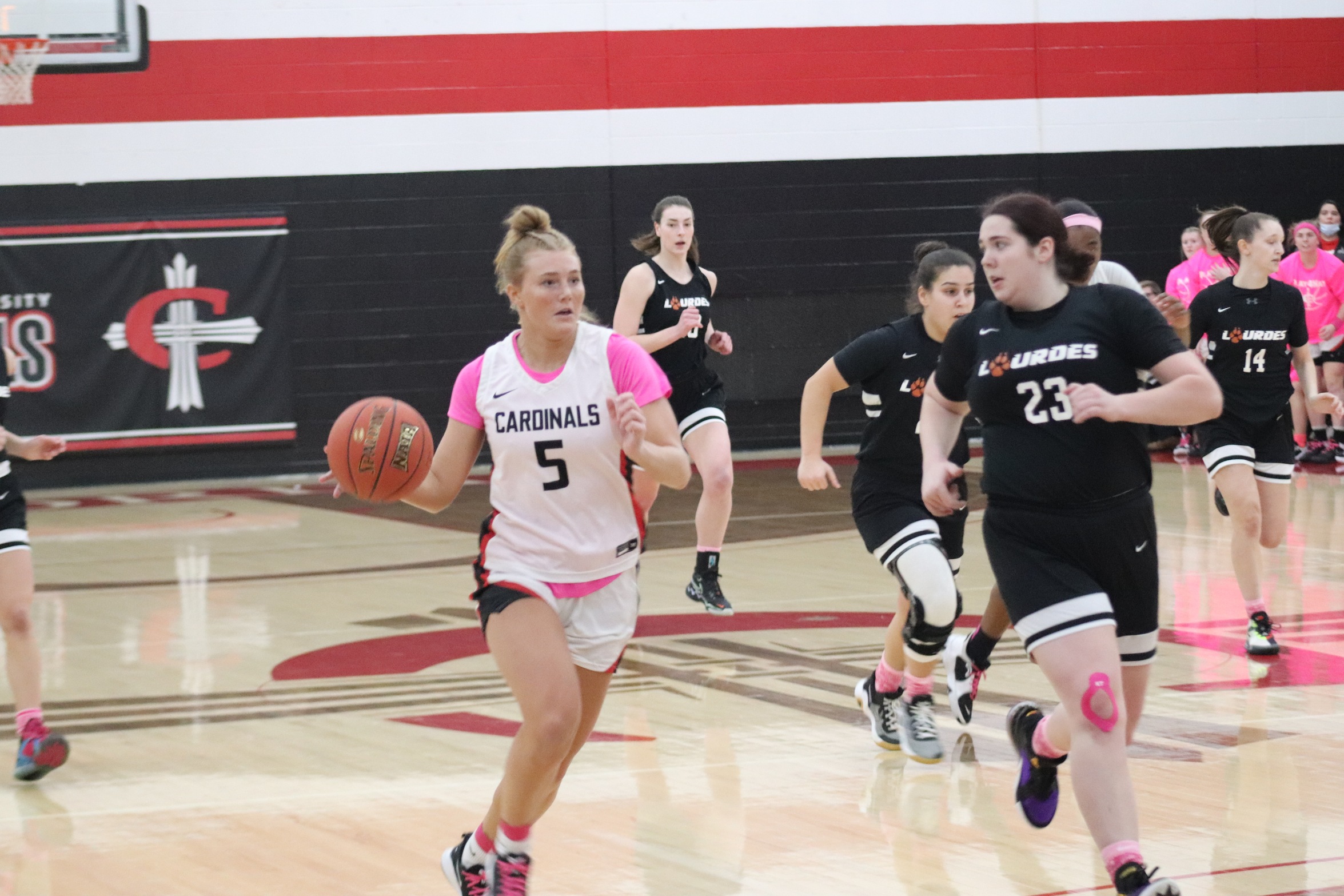 Women's Basketball falls at Rochester