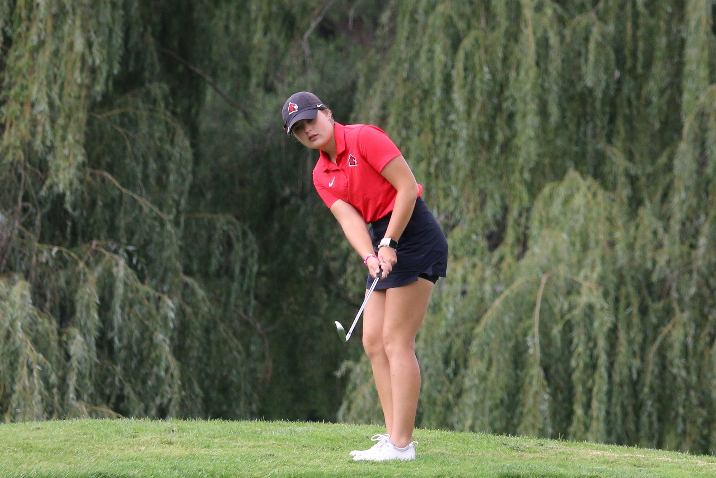 Women's Golf hosts the Cardinal Invite