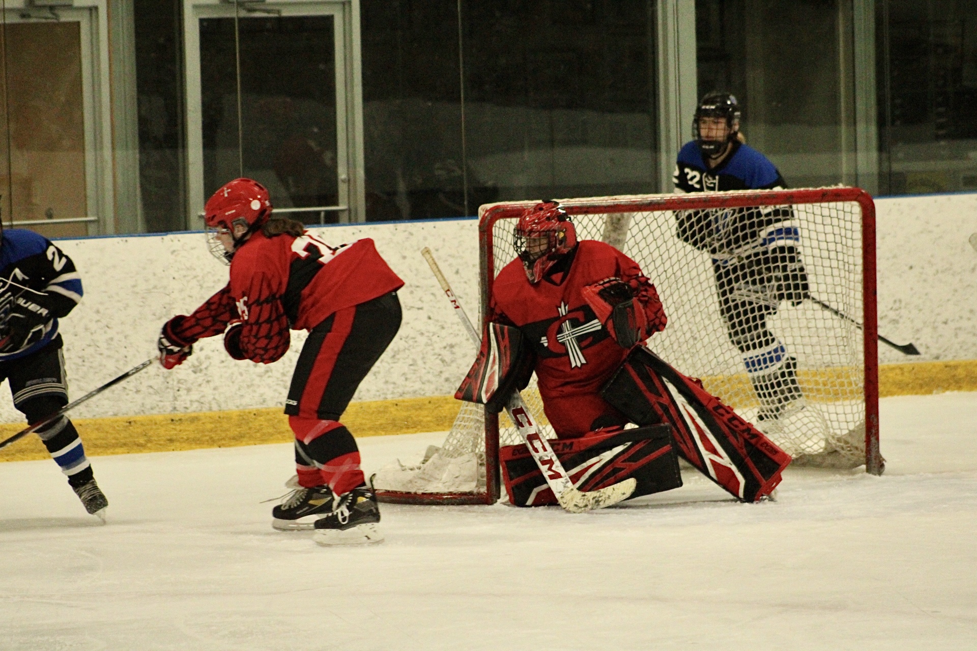 Women's Hockey drops contest with UM-Dearborn