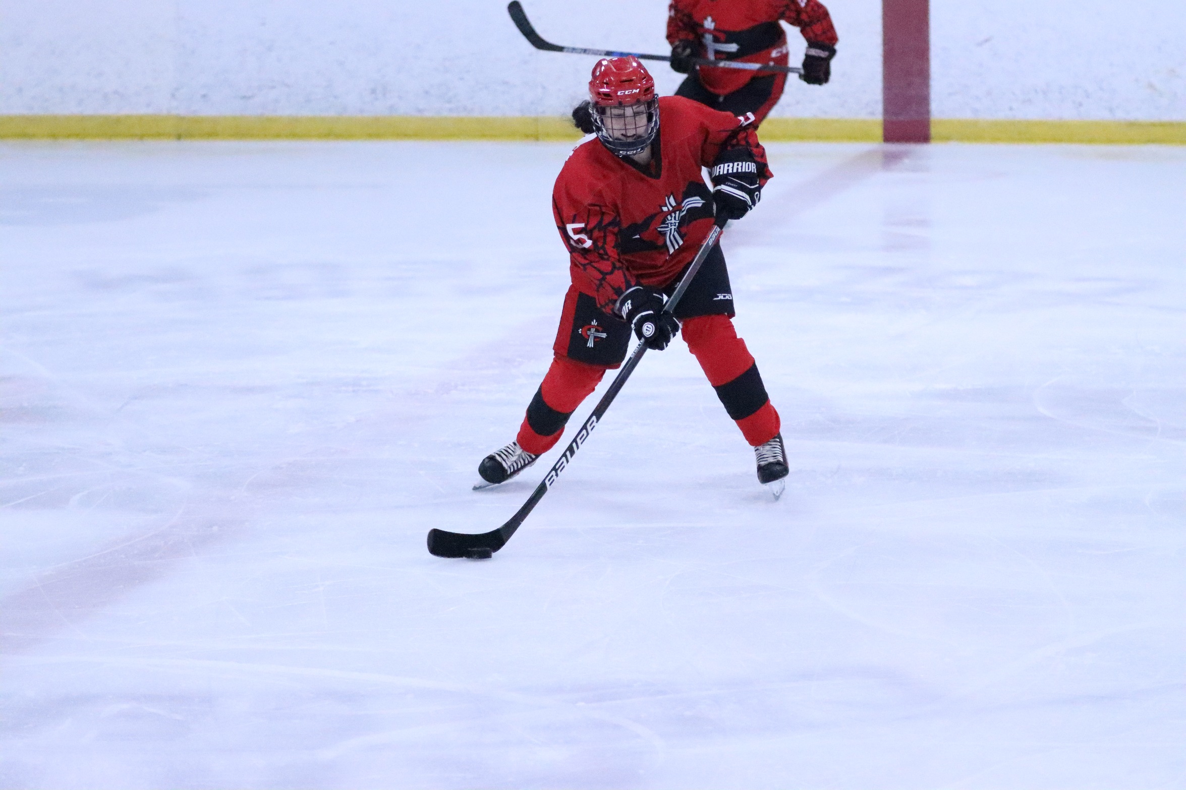 Women's Hockey unable to hold on to early lead against Adrian