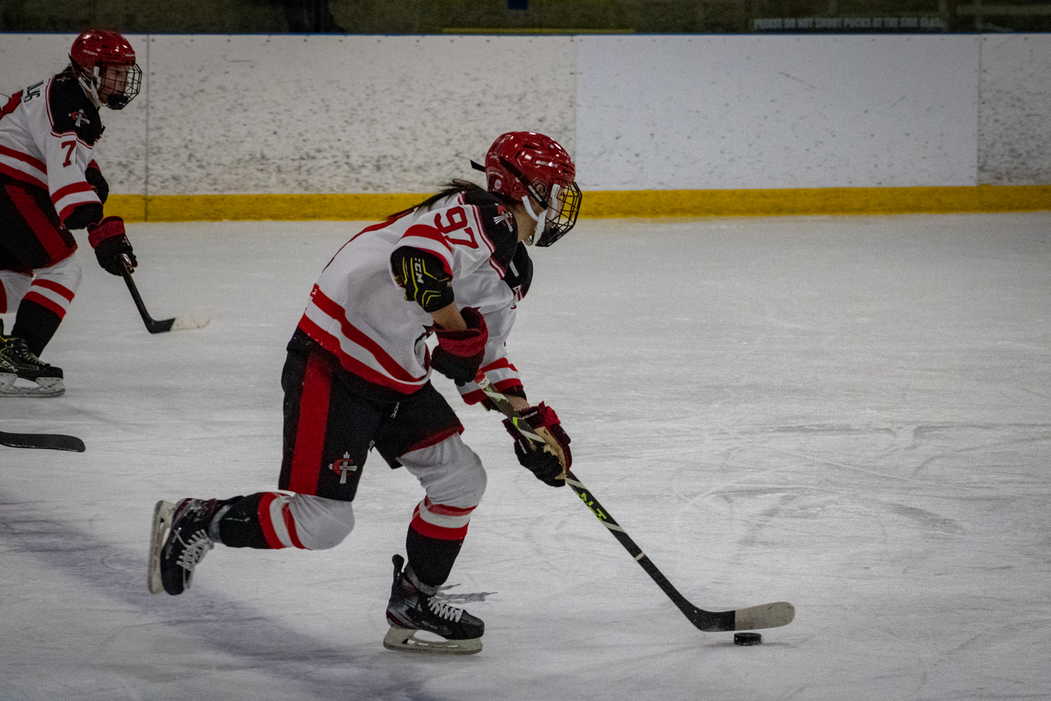 Women's Hockey soars past Davenport as Steinmetz nets hat trick