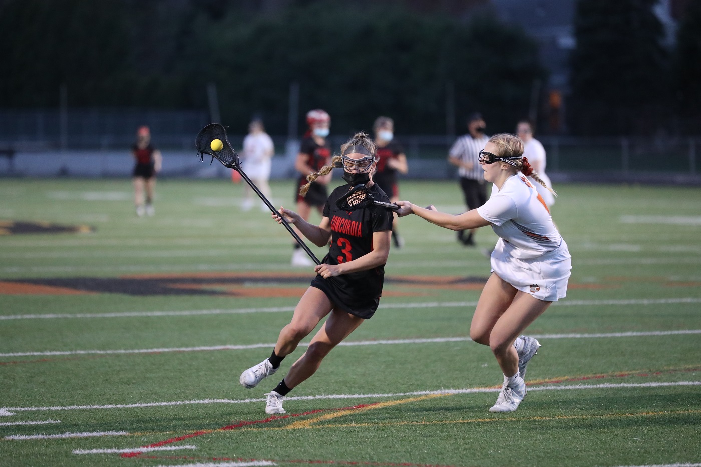 Photo courtesy of Michael Costello (all lacrosse michigan)