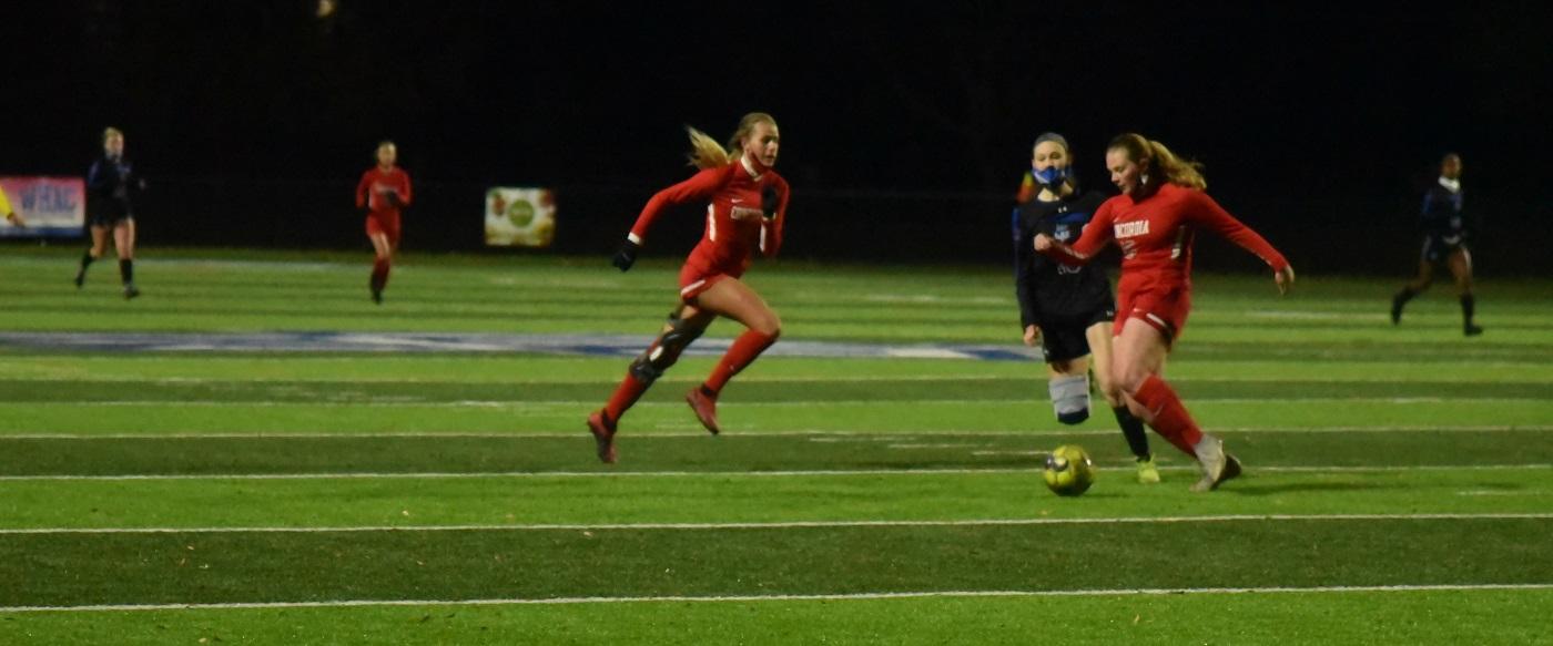 Cardinals comeback fall short against LTU, 2-1
