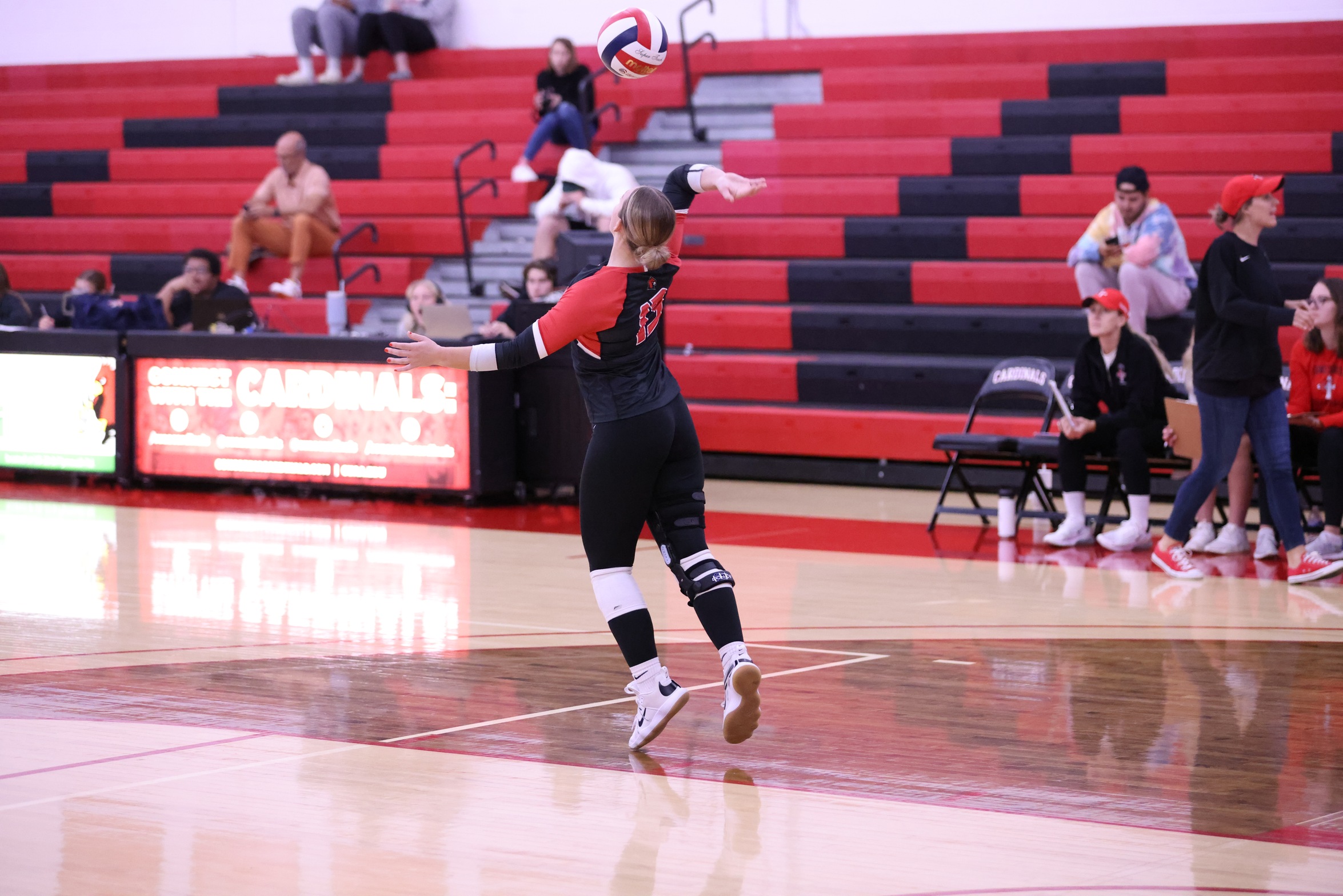 Volleyball falls in four sets at Lawrence Tech