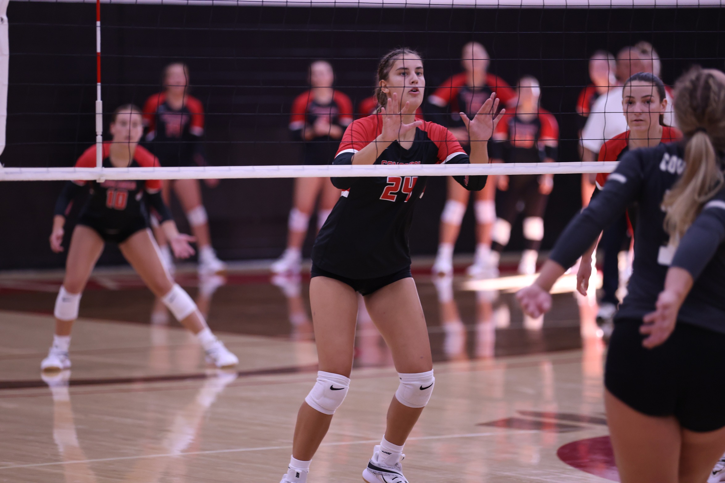 Cardinals split first day at Florida College Tournament