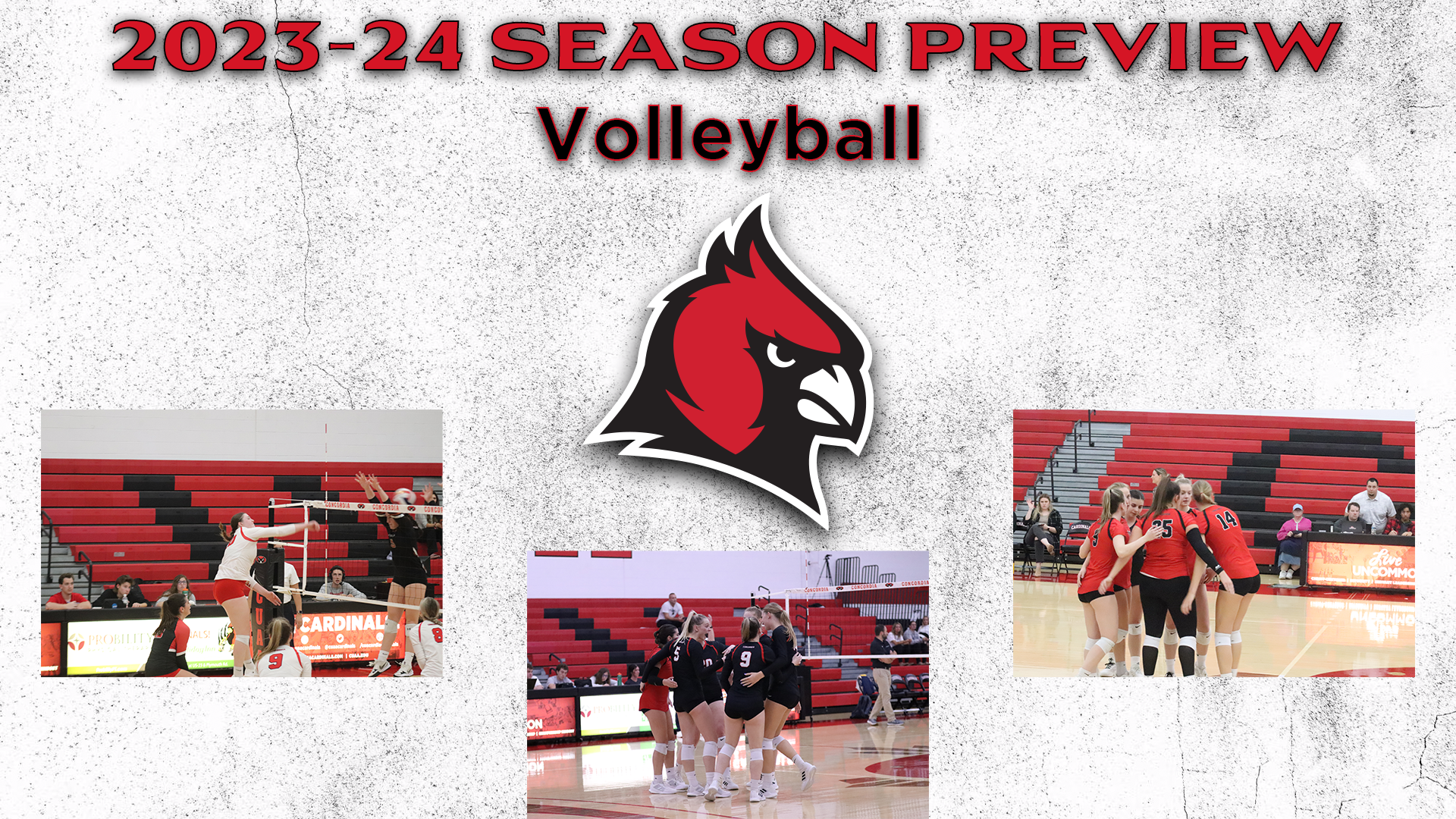 Season Preview: Volleyball preps for 2023 campaign