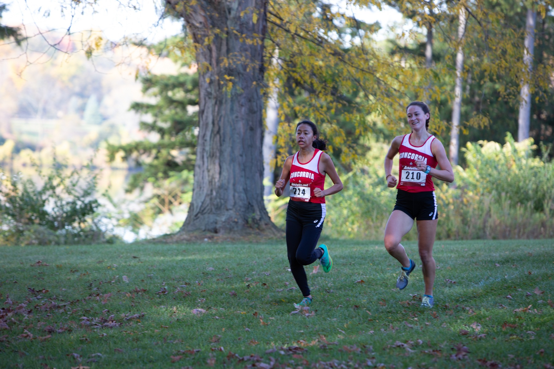 Porter and Bentz sweep top spots as Cardinals take first overall
