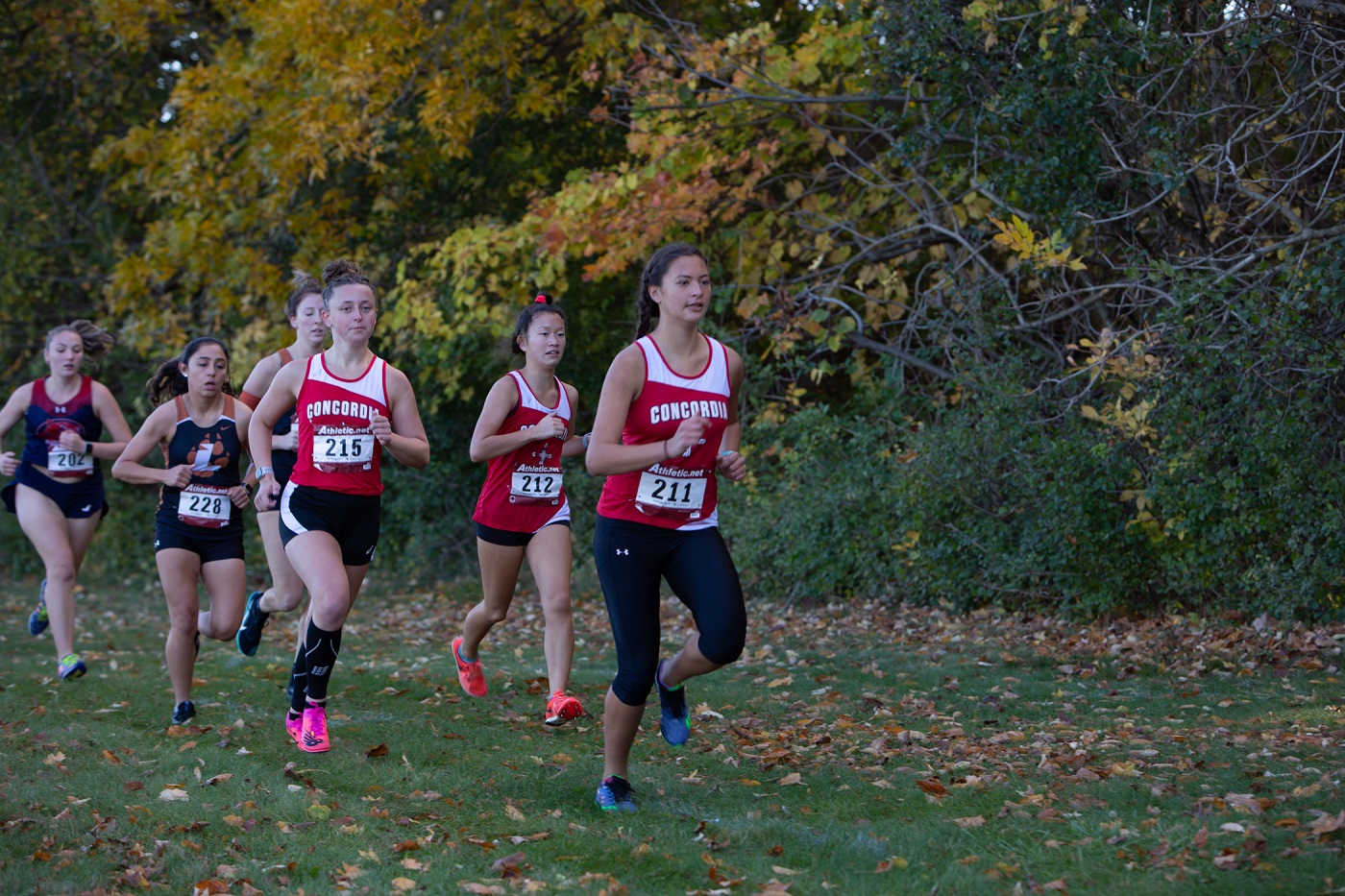 Women's cross country concludes fall at Midwest Cross Country Classic